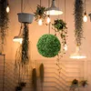 Fleurs décoratives simulées Milano Ball plante topiaire fausse herbe verte ronde suspendue mousse artificielle