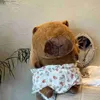 Pluszowe pluszowe zwierzęta Śliczne Pluszowa Capybara Symulacja Kapibara Anime Puszone zabawki Dekor Home Kawaii Pchasze Zwierzęta Miękkie lalka Plush Dift Kid Toys240327