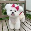 Abbigliamento per cani Vestito rosso con fiocco carino Vestito estivo per piccoli vestiti Gonna Chihuahua Yorkie Pomerania Maltese Bichon Barboncino Costume per animali domestici