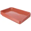 Fack 10 datorer Chassi Flower Pot Water Tray Plastic Mays Succulen