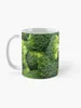 Kubki Broccoli Coffee Mub Anime Cups Thermal