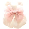 Vêtements pour chiens Mignon Bowtie Robe Princesse Jupe Été Chat Vêtements Poméranie Yorkies Maltese Shih Tzu Caniche Bichon Vêtements Pour Animaux De Compagnie 2024