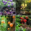 30pcs diy paperlantern boalls for Kids Holiday Birthday Wedding Party Decoration Foldable Hange Home Outdoor Decoration 240323