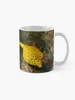 Kubki żółte boksfish do kawy kubek herbaty i filiżanki ceramiczne termalne do noszenia oryginalnego śniadania
