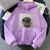 Women's Hoodies Sad Hamster Casual Cute For Autumn/Winter Sweatshirt Graphic Printing Comfortable Clothes Fashion Ropa De Mujer Hoody