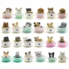 8 pcs tasse tasse de chats chats figure mini animaux décoration miniature lièvre figurine artisan