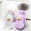 Vêtements pour chiens Sweat à capuche de dessin animé Chat Yorkshire Poméranie Shih Tzu Bichon maltais Caniche Schnauzer Teckel Vêtements Hiver Vêtements pour animaux de compagnie Manteau