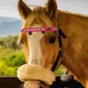 Dog Collars Horse Headband Equestrian Supplies Collar Belt LED Strip Pet Safety Polyester Accessory