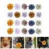 Vêtements pour chiens 20pcs fleur pour animaux de compagnie noeuds papillon collier fleurs chat chiot accessoires embellissement