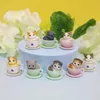 8 szt. Teacup pies koty figurka mini zwierzęta dekoracja miniaturowa zająca żywica figurka rzemiosła domowe ozdoby ogrodowe DIY Akcesoria 240401