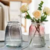 Vaser vas glas enkelt modern nordisk stil torkade blommor hem dekoration blomma potten transparenta färgarrangemang