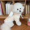 Abbigliamento per cani Autunno e inverno Orecchie di colore piccolo Maglione con cappuccio in peluche Gatto Due pezzi Vestiti per animali di media taglia