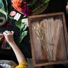 Ramki motyle próbki Wyświetlacz pudełka z drewna owady rama suszone schowek kwiatowy szafka biżuterii