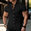 Men's Casual Shirts Men Office Shirt Stand Collar Stylish Cardigan For Summer Business Wear