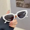 Lunettes de soleil de style européen et américain pour hommes et femmes, vintage, rétro, hip hop, anti-reflets