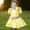 Girl Princess Dress Kids Shoulder Flower Jacquard Wedding Party Birthday Tutu Dresses Child Clothes 240325