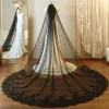 hot Sale Black Cathedral Wedding Veils Cheap Lace Appliques 3*3M Bride Complementos De Boda Velo De Novia 689j#