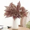 Fausses plantes décoratives sans taille, simulation réaliste de feuilles de Pteris, accessoires d'intérieur pour toutes les saisons, lot de 5 photographies