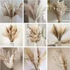 80st Natural Fullt Pampas Grass Bouquet Boho Home Decor Phragmites Torkade blommor för bröllop Ramadan Decoration Mariage 240315