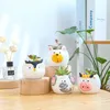 Vases Creative Cartoon Animals Succulent Flower Pot Balcony Gardening Micro Landscape Table Top Small Flower-Planter Vase 4pcs/lot