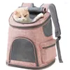 Cat Carriers fällbar husdjursbärare ryggsäck för små hundar och katter säkerhetslås blixtlås andas mesh hikin