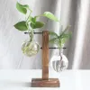 Sculptures verre bois Vase planteur Terrarium Table bureau hydroponique plante bonsaï Pot de fleur Pots suspendus avec plateau en bois