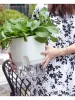 POTS Innovativa lata blommorpanna Automatisk vattenabsorberande blomkruka Transparent plast Självvatten Planter Plantor Nursery Pods