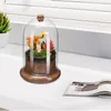 Vases Micro paysage mousse couverture maison Accents décor Terrarium conteneur verre dôme pour plantes avec trou bureau Decore