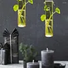 Vases Wall Mounted Vase Holder Hydroponics Flower Hang Planter Glass Plant Propagation Station For Home Decor Large