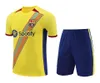 23 24 Pedri barcelon a voetbalshirt Garvey Lewandowski de voetbalshirt 2023 2024 voetbalsweatshirt heren korte mouw