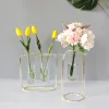 Vases Tube à essai en fer vase en verre vert aneth hydroponique plante verte art simple arrangement floral simulation fleur table maison vase