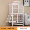 Cat Carriers Street Playpen duże kryjówki panoramiczne schroniska metalowa klatka luksus Casas de Gatos Grandes meble koty hy