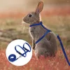 Colliers pour chiens UEETEK réglable pour animaux de compagnie marche harnais de course laisse fournitures de plomb (bleu ciel)