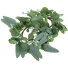 Guirlande de fleurs décoratives, 2 pièces, anneau d'eucalyptus, décoration de mariage, petite couronne, Pe (plastique)