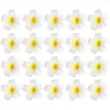 Pinces à cheveux frangipanier artificielles, 20 pièces, fleurs décoratives pour filles, diadème Plumeria, épingle à cheveux, couvre-chef