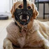 Collari per cani Muso Maschera anti-morso Maschere di grandi dimensioni Traspirante Pet Tpr Cani di piccola taglia all'aperto Anti-abbaiare con i denti