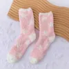 Men's Socks Autumn And Winter Coral Velvet Women's Plus Padded Long Tube Japanese Stocking