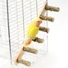 Andra fågelförsörjningar 2st Interactive Parrot Toy Pet Climbing Toys Ladder för Hamster Cage slipning Stick