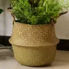 Baskets Tools Storage Botany Plant Flowerpot Hanging Basket Potted Seaweed Rattan Dirty Natural Clothes Dirty Wicker Clothes Flowerpot