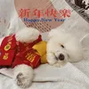 Vêtements pour chiens Pull pour animaux de compagnie Veste d'hiver Tricot de marque de mode Tissu Année chinoise Vêtements