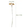 Dekorativa blommor 10st Artificial Christmas Berry Stems Simulation Plants Flower Arrangement Picks for Home Wall Decor