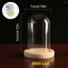 Vasen Imitation Blume Glaskuppel Holzsockel mit LED-Licht für Sukkulenten Home Dekoration DIY Figur Display Box Staubschutz