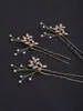 sier wedding hairpins 3pcs女性ヘアデコラティスロマンチックなかわいいブライダルヘッドドレスパールシックヘアクリップアコリーO1mq＃