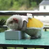 Hondenkleding Klein dier Varken Warm vest Kleding Dieren XXS Hamster Huisdier voor middelgrote honden Man Vrouw