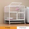 Cat Carriers Street Playpen duże kryjówki panoramiczne schroniska metalowa klatka luksus Casas de Gatos Grandes meble koty hy