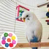 Autres fournitures d'oiseaux 50 pcs décor perroquet jouet à mâcher bricolage boule de rotin animal de compagnie jouet alimentaire drôle morsure morsure pour