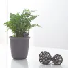 Pots 100 Pcs/pack Fertilizer Basket for Flower Pot Osmocote Bonsai Orchid Plants B85C