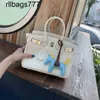 BK Designer Bag Leather Handbag Platinum Crocodile Mönster Retro Fashion Female Sakura Pollen Portable Lock