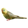 Dekorativa figurer Plastiska hantverk Emulering Parrot Budgerigar Bird Animal Model Toy Decoration