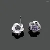 Kolczyki stadnorskie zaręczyny 925 Sterling Srebrny Kwiat Dziewczęta Piezanie cyrkonu Plant Ear Hoop Wedding Gift Earring Biżuteria